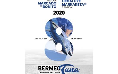 Bermeo Tuna Tagging Challenge 2020