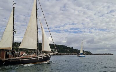 El Camino a Vela 2026 suelta amarras en Hondarribia y llega hoy a Bermeo en su primera etapa de navegación en aguas de Euskadi