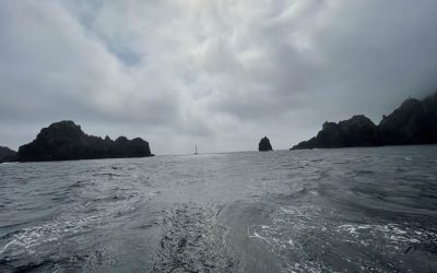Viveiro recibe a la expedición de Navega o Camiño