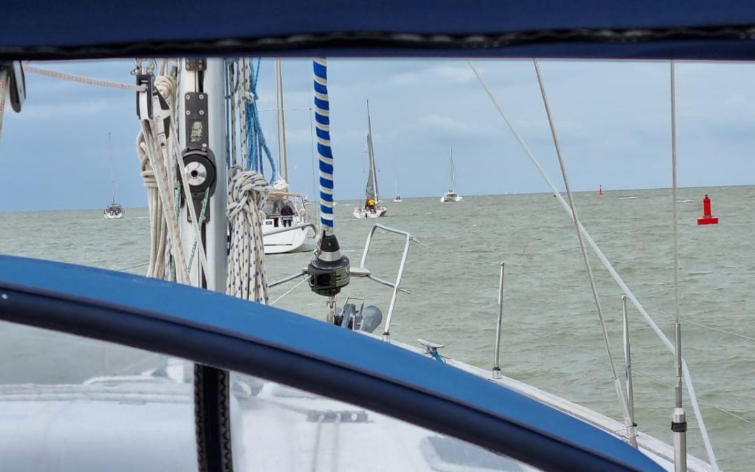El Puerto de La Rochelle despide a la flota de la 7ª travesía “El Camino a vela” que ha soltado amarras rumbo a Hondarribia